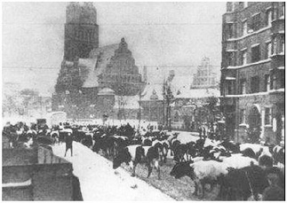 Winter chaos in the streets of Breslau in 1945 Cows and people trying to flee west.